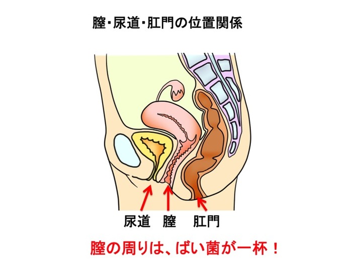 絨毛膜羊膜炎の原因や症状は？予防するためには何をする？の画像1