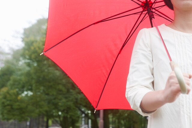 雨の日も退屈知らず！思いっきり遊べるオススメ室内遊園地のタイトル画像