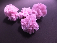 親子で作ろう！春にオススメ手作り「八重桜」の画像6