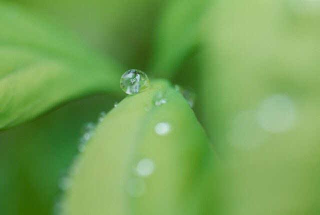 雨の日や寒い日におすすめ♪おうちでの過ごし方5つのタイトル画像