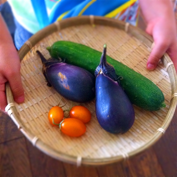 楽しみながら克服！子どもに苦手な野菜を食べさせる方法の画像5