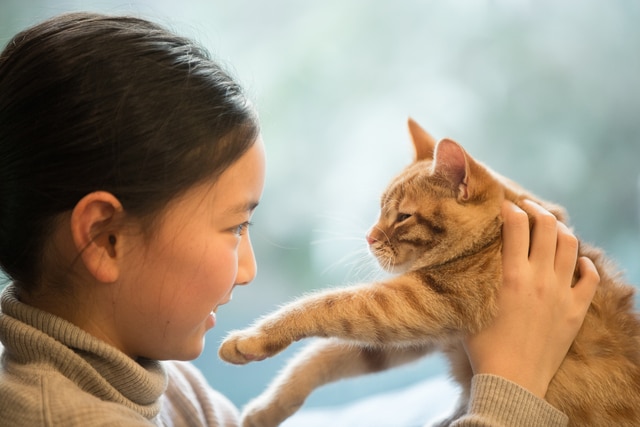 猫と触れ合える♪癒し空間「ねこぶくろ」に子どもと行こうの画像4