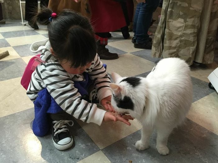 猫と触れ合える♪癒し空間「ねこぶくろ」に子どもと行こうの画像3