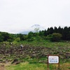 家族でお出かけ！自然に触れ合いたいなら、富士山こどもの国へ！のタイトル画像