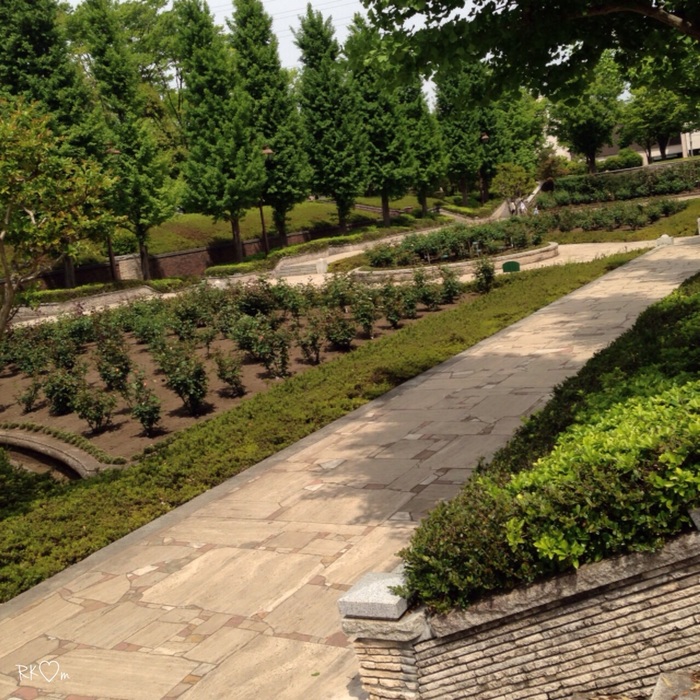 親子で公園へ行こう♪ 水遊びもできる、あきるの市・秋留台公園の魅力の画像7