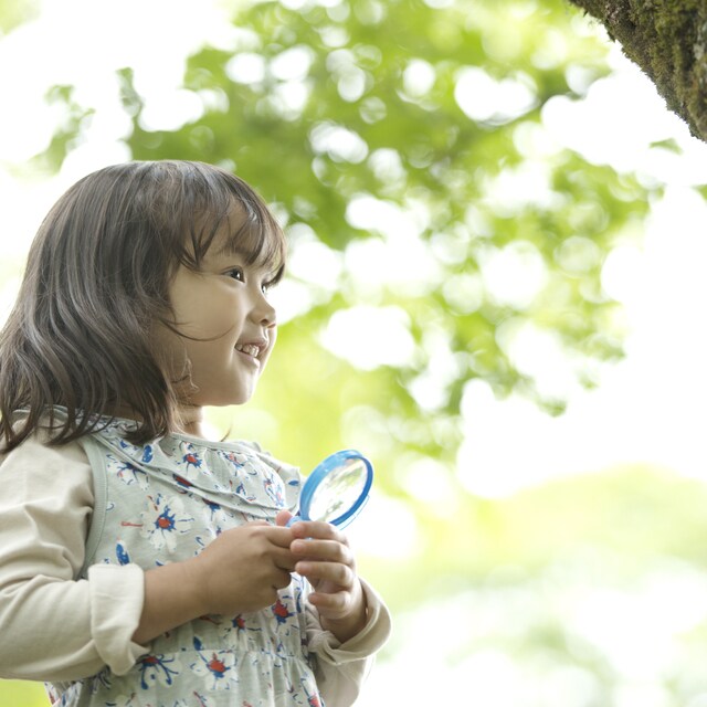 幼稚園の長い夏休みをどう過ごす？夏休みを規則正しく過ごすための3つのアイデアのタイトル画像