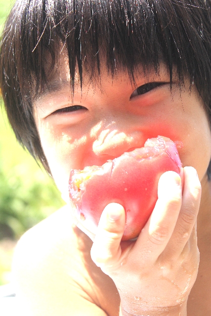 子どもの野菜ギライを克服！野菜ギライを克服した５つの秘訣とは？の画像6