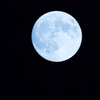 今年の『中秋の名月』は9月27日！お月見を親子で楽しむ方法のタイトル画像