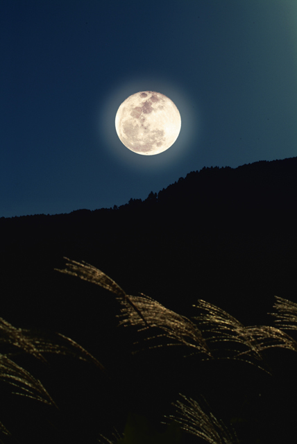 今年の『中秋の名月』は9月27日！お月見を親子で楽しむ方法の画像1