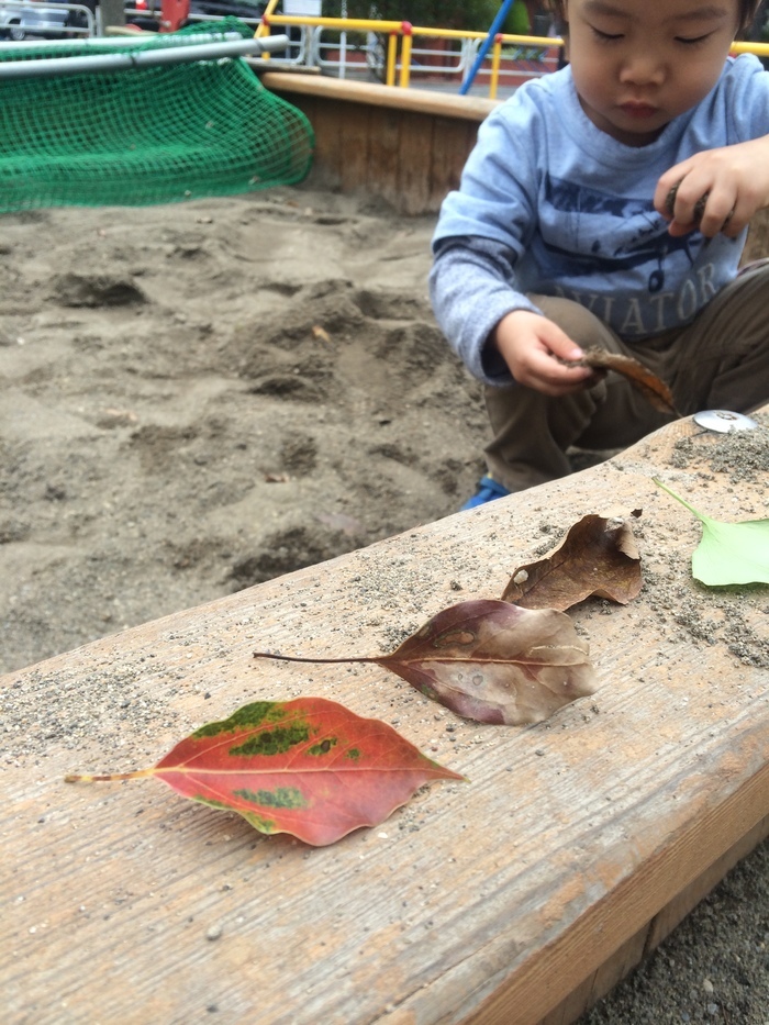 子どもが自信を持てる子育て～褒めるより感謝を伝える我が家の声掛けルール～のタイトル画像