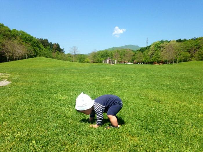 1歳を過ぎても“あんよ”がまだ…歩き始めの早い遅いは将来の運動能力と関係あるの？の画像1