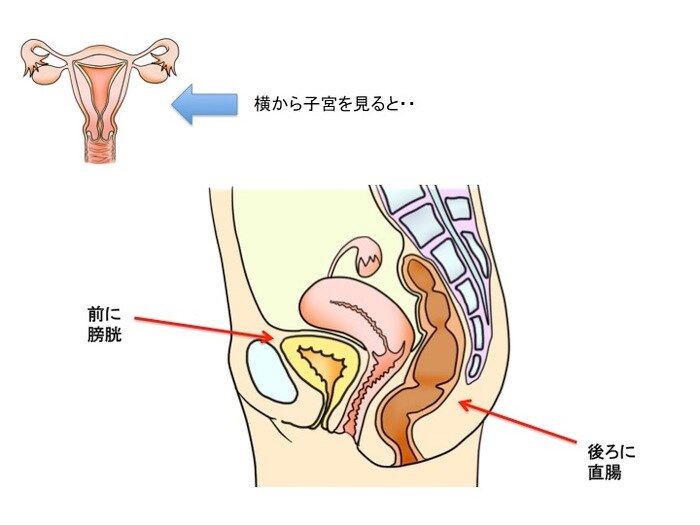 痛 タカ 生理