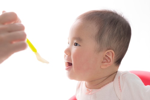 離乳食はフードプロセッサーで作るのがおすすめ 人気商品やレシピも紹介 Conobie コノビー