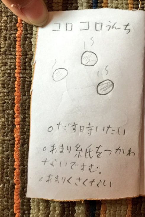 ツイッタ―で話題！子どもが作った「うんちずかん」がおもしろすぎる！！の画像2