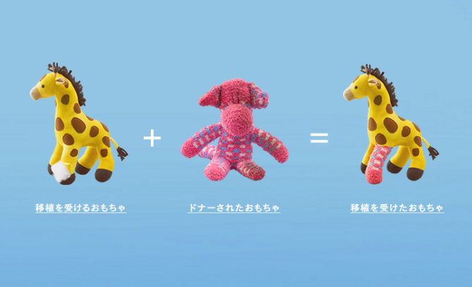 壊れたおもちゃを移植で修復。子どもと“命”に向き合う『Second Life Toys』とは？のタイトル画像