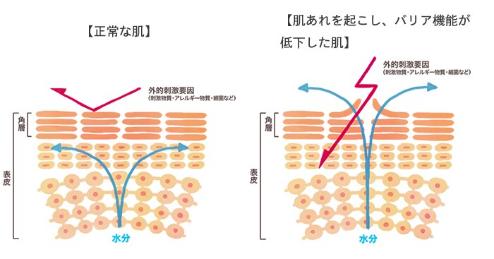 すこやかな肌は未来への贈り物。赤ちゃんの肌を想ったスキンケアシリーズを使ってみると…の画像4