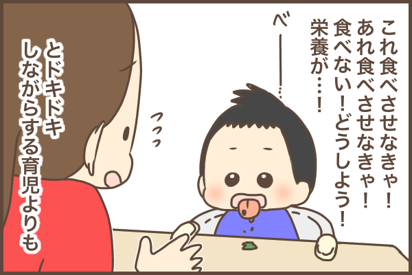 一切手を抜かない、完全手作りの離乳食！でも…これって本当に子どものため？の画像8