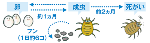 対策の誤解が招いた、ダニと人間の長く激しい戦いの画像6