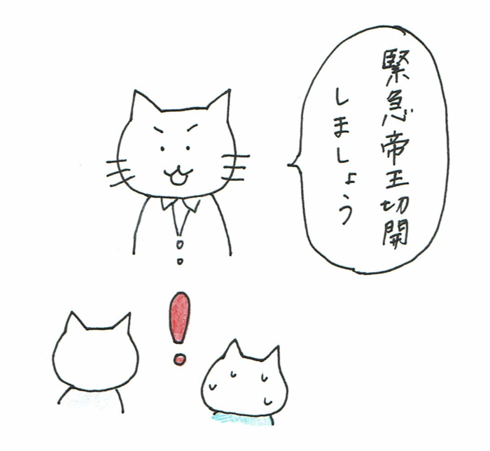 「これはスーパー安産なのでは…！」と思っていた私のまさかの出産体験談＜投稿コンテストNo.８０＞の画像4