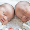 【医師監修】双子の妊娠が判明！双子のふしぎと妊娠・出産で気をつけるべきことのタイトル画像
