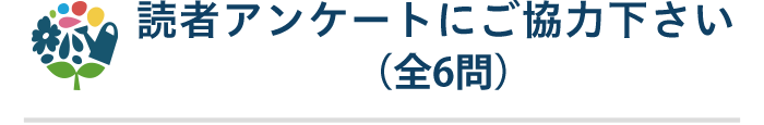 猛暑でお外遊びできない…そんな日に親子で楽しむ、体をたっぷり動かせるバイリンガルおもちゃの画像22