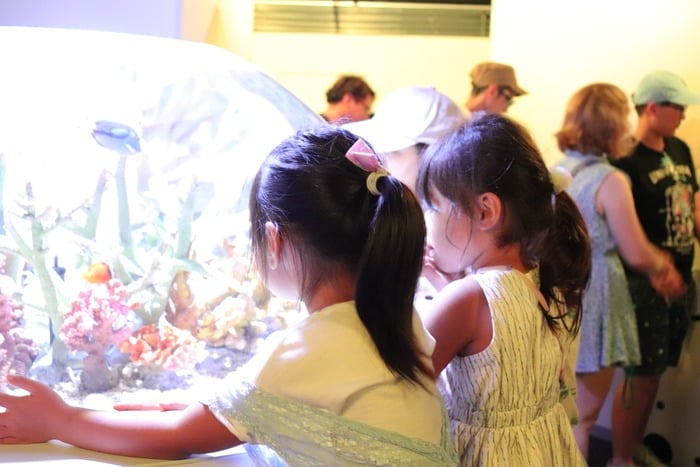 世界最大級の水族館！関西の人気おでかけスポット「海遊館」の画像10