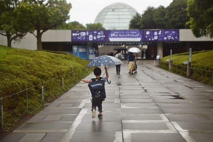 水族館デビューにおすすめ！手頃な入館料もうれしい「葛西臨海水族園」の画像2