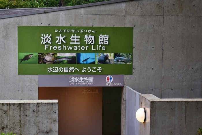 水族館デビューにおすすめ！手頃な入館料もうれしい「葛西臨海水族園」の画像18