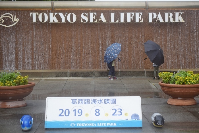 水族館デビューにおすすめ！手頃な入館料もうれしい「葛西臨海水族園」の画像1