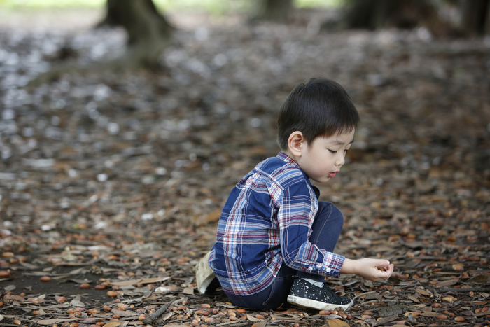 子ども達が無限に拾ってくる、どんぐり。その処分方法を間違えた結果、とんでもない事態に（笑）の画像2