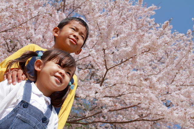 「３学年差」といえば入園入学のかぶり！憂鬱な心配が大号泣につながった春。の画像3