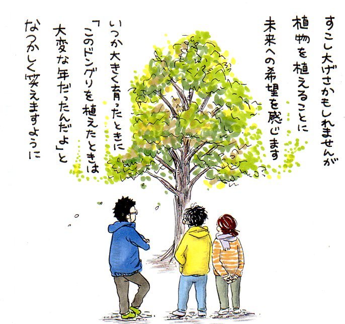 息子と植えたドングリ。新しい種は、いつかくる未来への希望。今を懐かしむ時が、きっと来る。の画像12