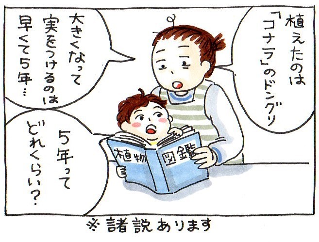 息子と植えたドングリ。新しい種は、いつかくる未来への希望。今を懐かしむ時が、きっと来る。の画像10