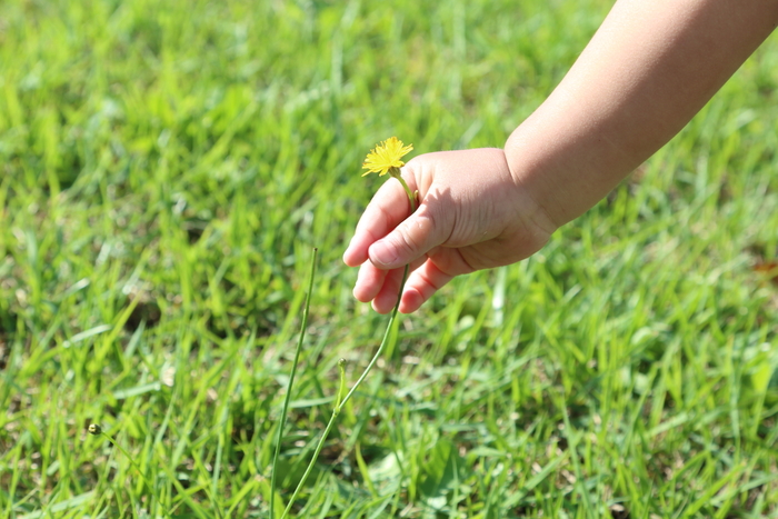 母親って報われない…。諦めてた私に、3歳息子からの最高すぎるプレゼントの画像2