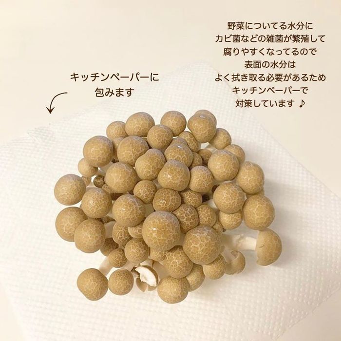 あれもこれも野菜室でシナ〜ッ…。そんなあるあるから脱却！保存方法まとめの画像19