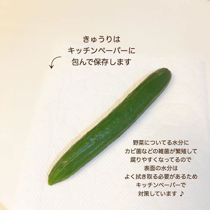 あれもこれも野菜室でシナ〜ッ…。そんなあるあるから脱却！保存方法まとめの画像14