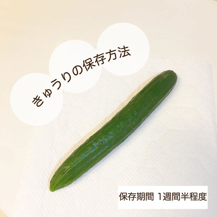 あれもこれも野菜室でシナ〜ッ…。そんなあるあるから脱却！保存方法まとめの画像12