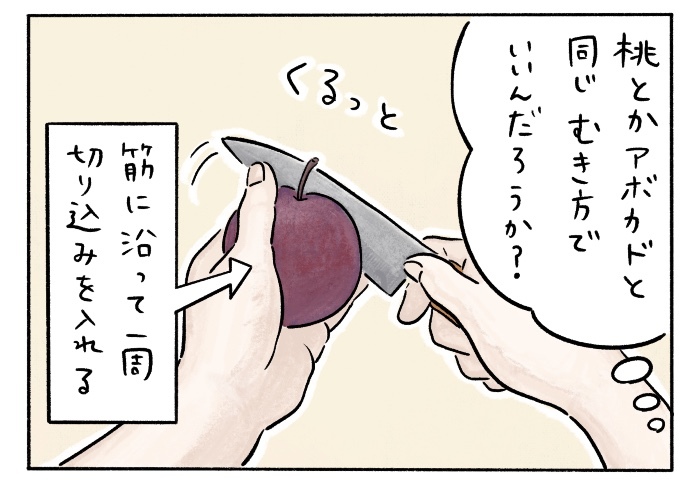 「すもも食べてみたい」娘の一言で、食卓の世界はこんなに広がるの画像3