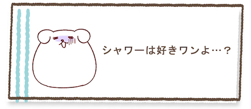 一日の中で“至福の時間”はいつ…？これだけは外せないものの画像5