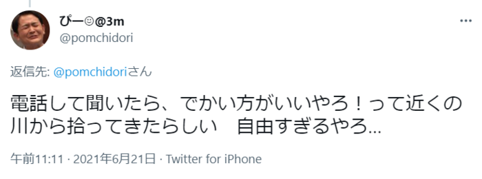 お食い初めの歯固め石って、こんなサイズだっけ？？それは確かに岩でしたの画像2