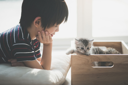 熟睡中の男の子。新入り猫の起こし方が容赦ないけどほっこりしちゃう 