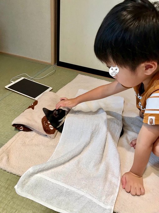 そぉ～っとね…。弟（？）猫を寝かしつけるお兄ちゃんの優しさに涙チョロリの画像4