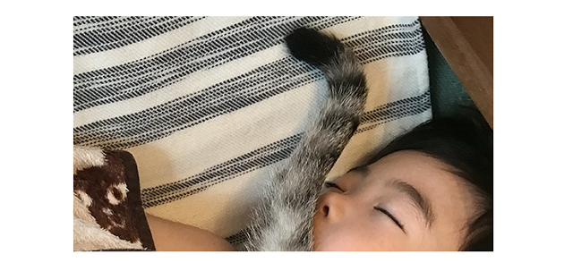 寝かしつけ、したりされたり。猫と息子の素敵な関係のタイトル画像