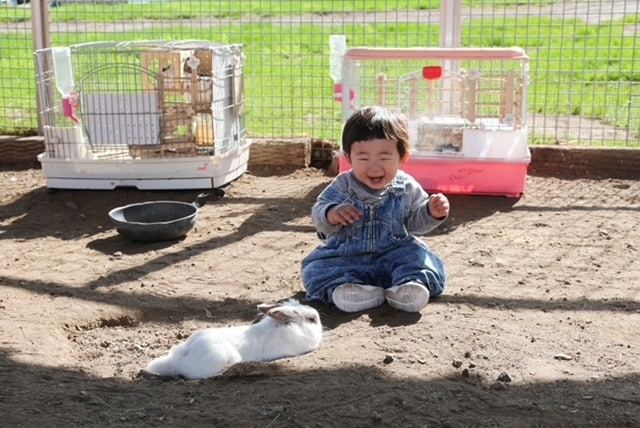 え、溶けた？幼児のニコ～！にウサギが骨抜きになった瞬間＜第1回フォトコンテストNO.３＞の画像1