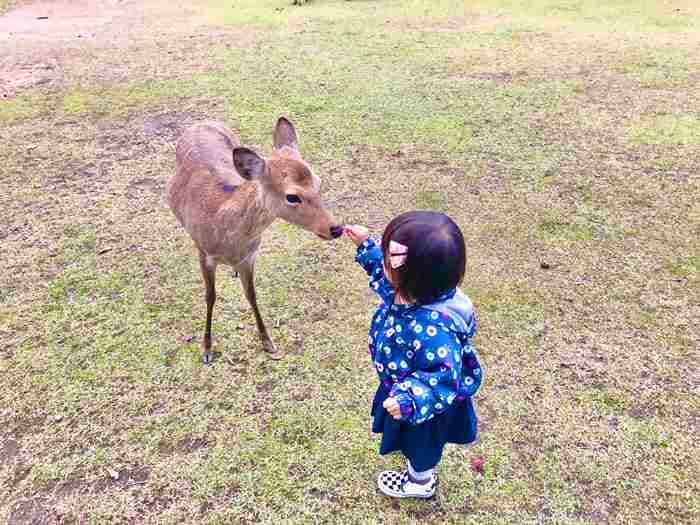 動物大好き！初めてのお友だちでも怖くないよ＜第1回フォトコンテストNO.４０＞の画像1