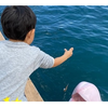 イルカとの触れ合いに、息子の成長を感じた日＜第1回フォトコンテストNO.４５＞のタイトル画像