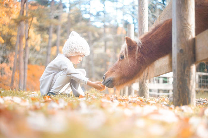 初めての触れ合い。子を見守るポニーの瞳が優しかった＜第1回フォトコンテストNO.４７＞の画像1