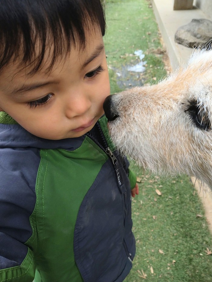 「泣かないで…」子の気持ちに寄り添うワンコが愛しい＜第1回フォトコンテストNO.４９＞の画像1