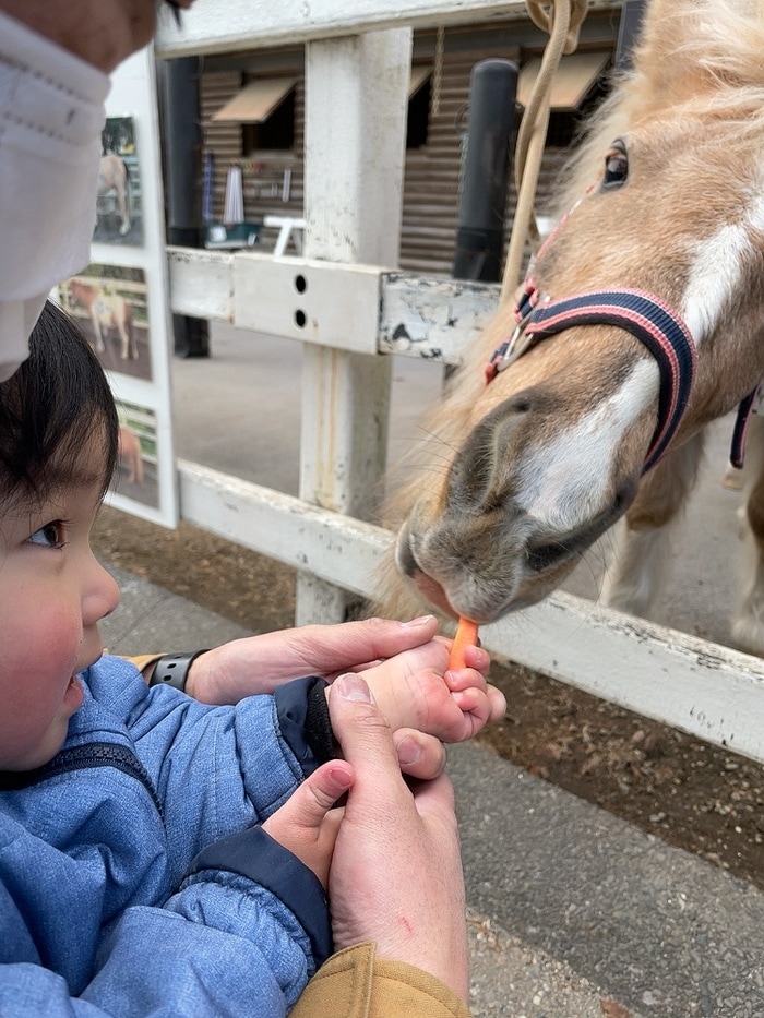 ニンジンをあげる嬉しそうな横顔に、つい「もうひとカップ…！」＜第1回フォトコンテストNO.１２０＞の画像1