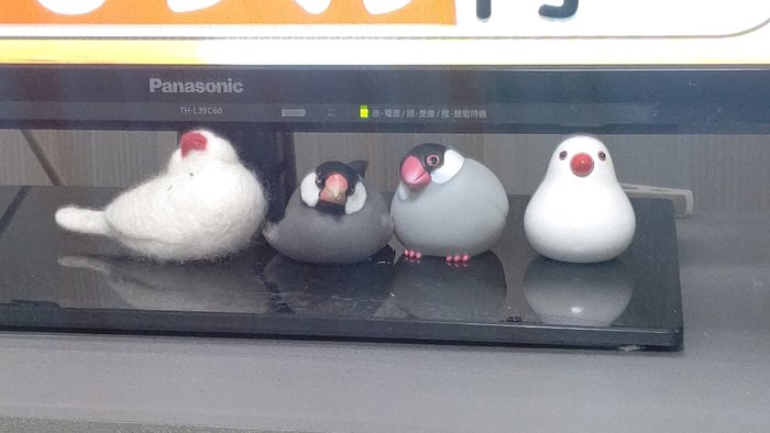 あれ？どこ行った？文鳥さんの見事な溶け込み具合に飼い主も見失うの画像3